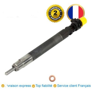 Injecteurs CITROEN C8 2.0 HDi 135 136 CV DELPHI (R00101D)